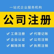 企业代办注册哪家好 税务共享服务中心的设计思路